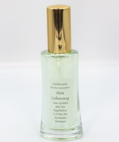 Lichtessenz dein Lebensweg