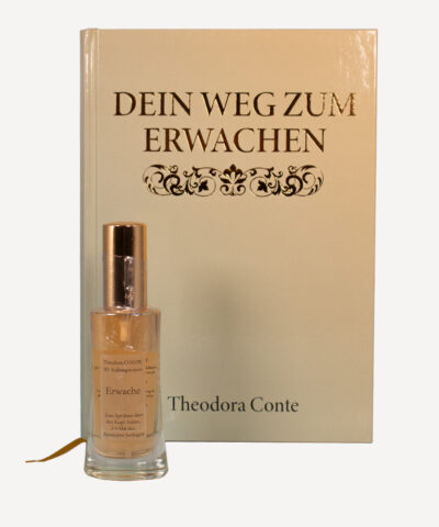 Alternative view of SET Dein Weg zum Erwachen