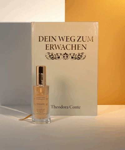 SET Dein Weg zum Erwachen