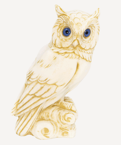 Alternative view of Magische Eule