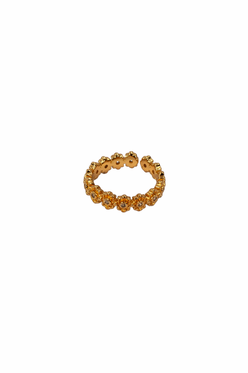 Ring Ausrichtung zum Licht
