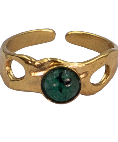 Alternative view of Ring der Erdenkraft