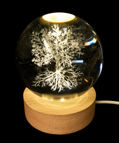 Alternative view of Der Baum der inneren Welten