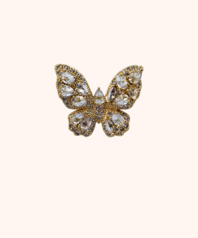 Alternative view of Schmetterling des Neubeginns