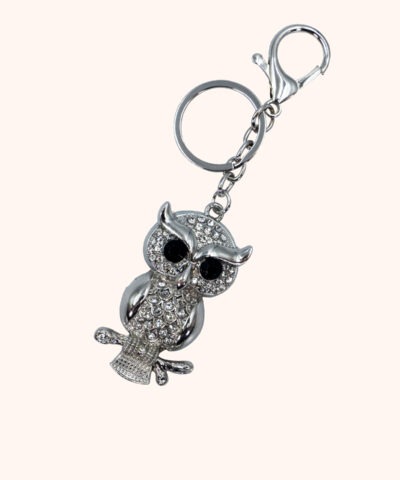 Alternative view of Silberblick – Wächtereule der Weisheit