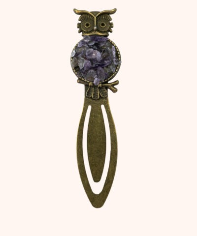 Alternative view of Die Eule des inneren Wissens - Amethyst